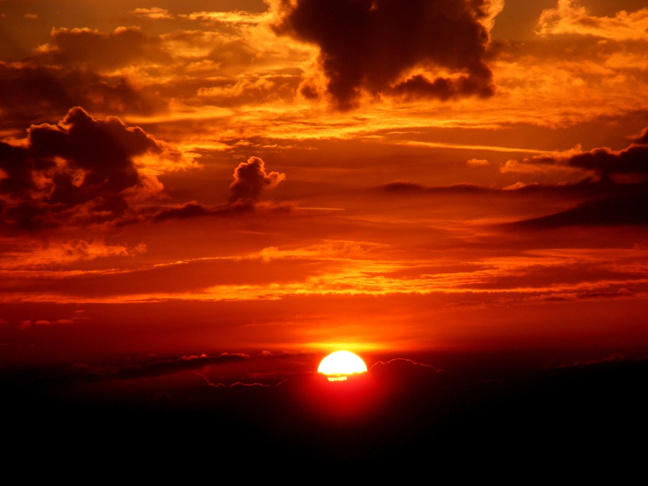 How To Use Cloud Solutions for Better Workflow Management
